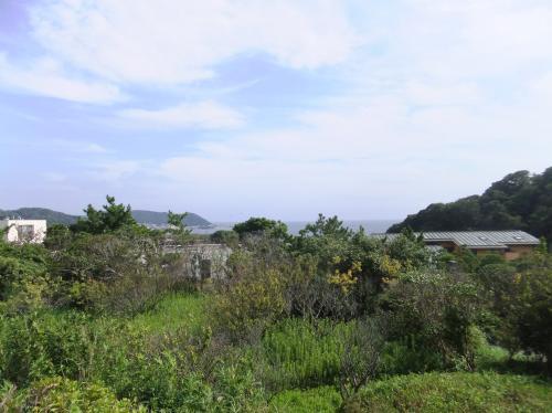 View photos from the local. View from local