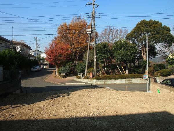 Local photos, including front road. Local (12 May 2013) Shooting