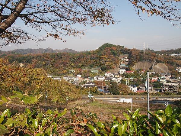 Other. View from the property adjacent park