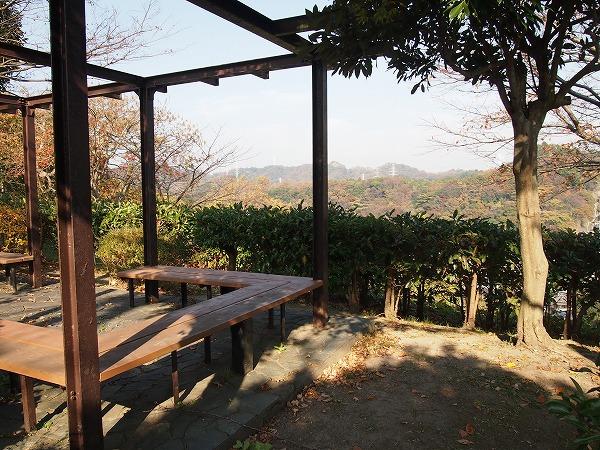 Other. The property adjacent park