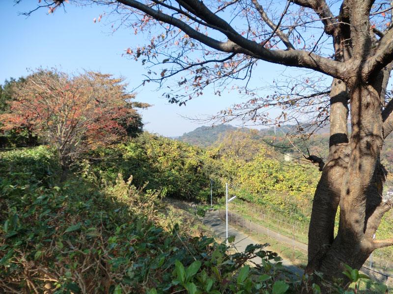 View photos from the dwelling unit. View