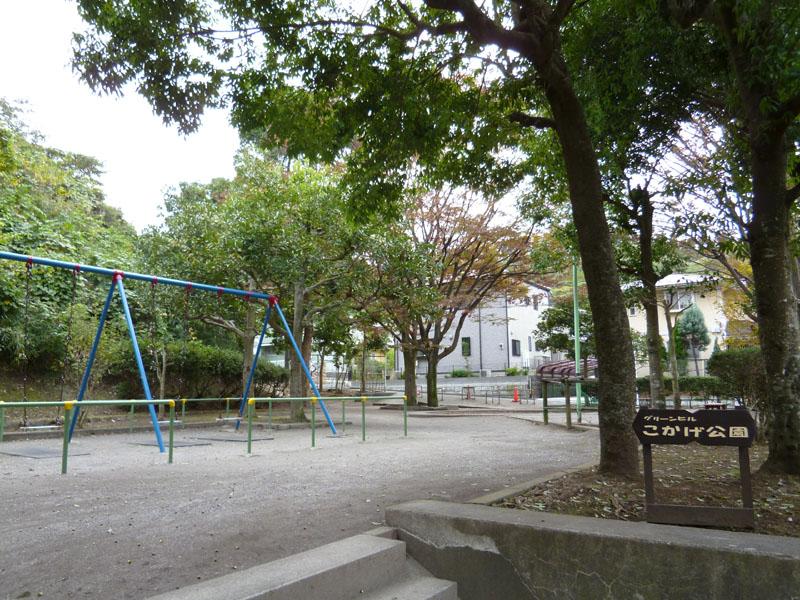 park. Green Hill shady park