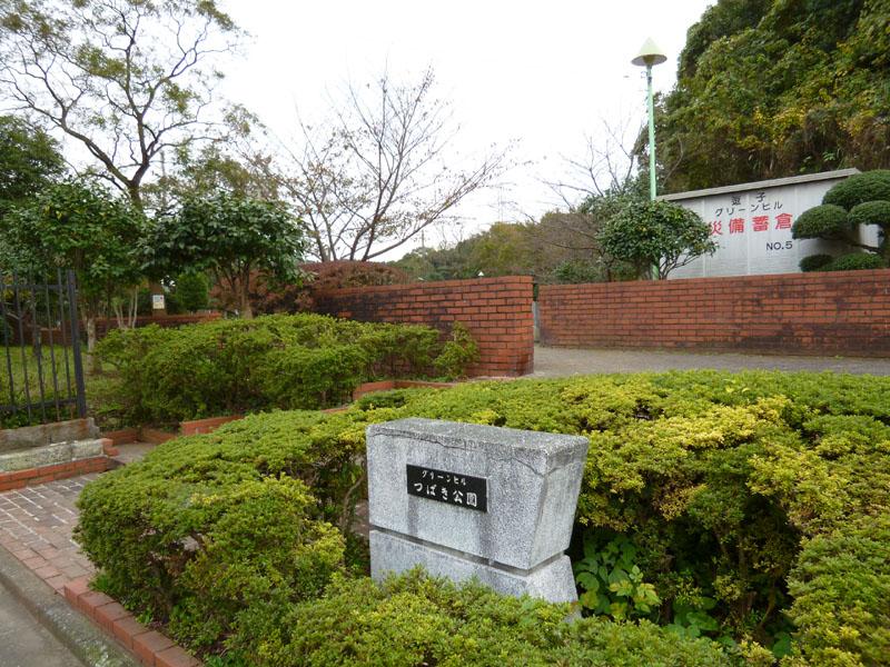 park. Green Hill camellia park