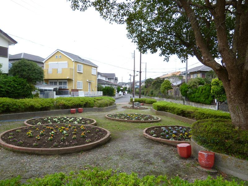 park. Green Hill Flower Park 2