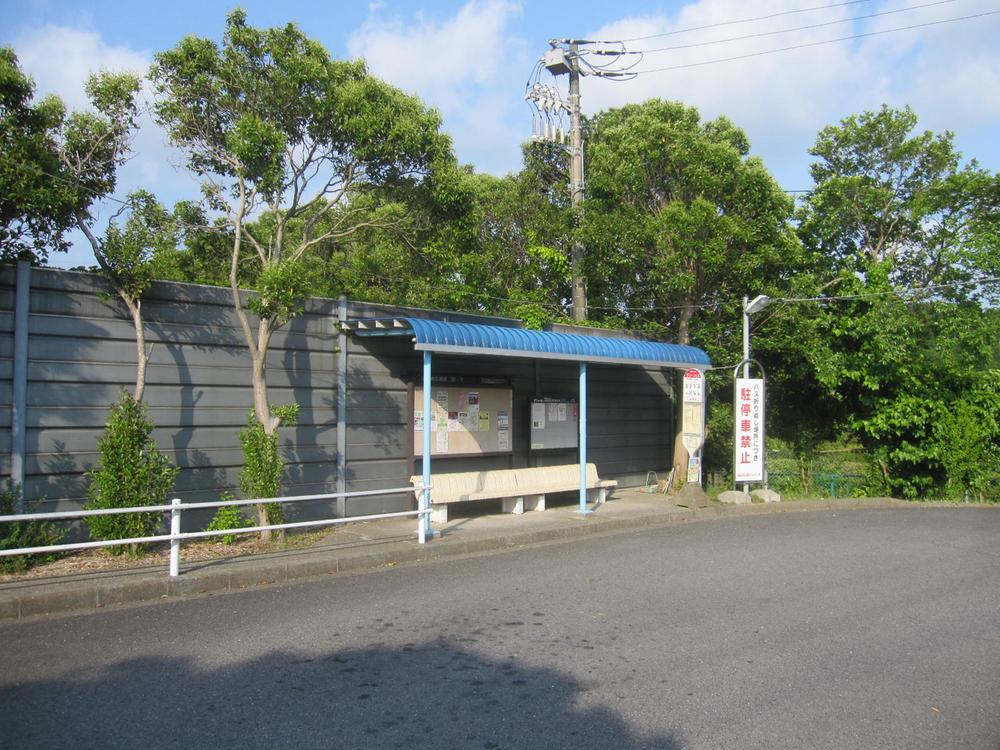 Other Environmental Photo. 240m to stop the bus, "Green Hill"