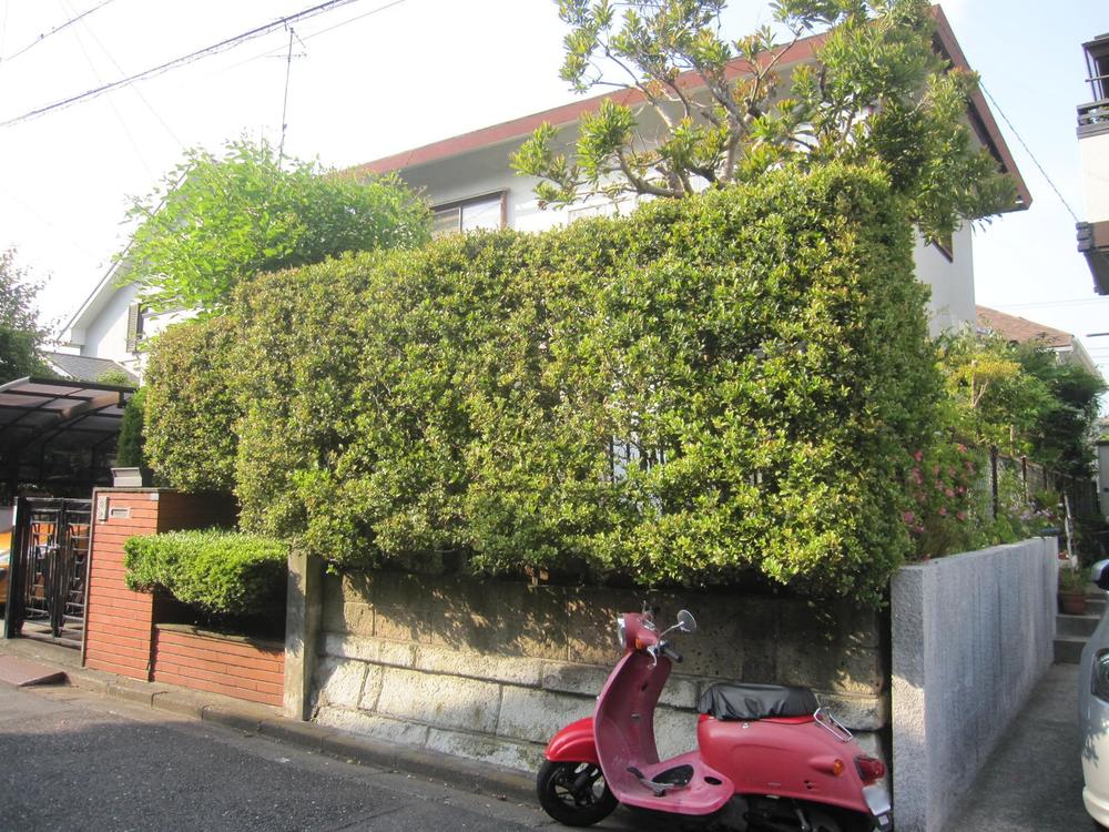 Local photos, including front road. Site has become about 50cm high from the front road.