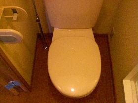 Toilet. Separate private room and bath