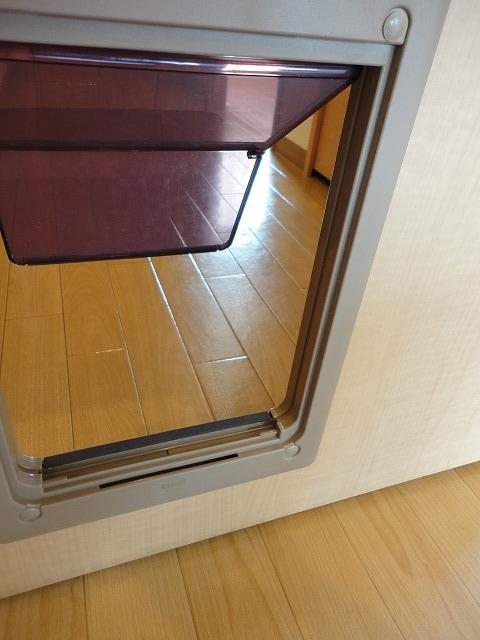 Other Equipment. Pet pass-through window ☆