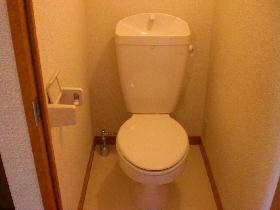 Toilet. Separate private room and bath