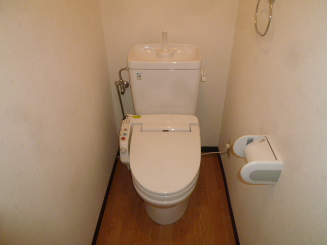 Other. There is a shelf on top of the toilet tank