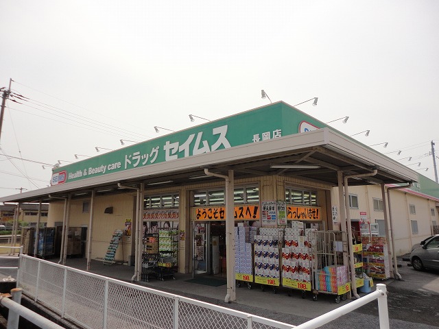 Dorakkusutoa. Drag Seimusu Nagaoka shop 1054m until (drugstore)