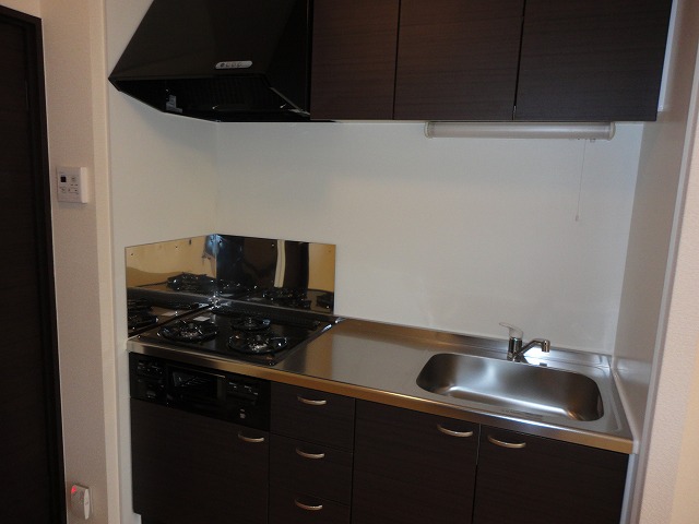 Kitchen. Gas stove with a grill has been installed