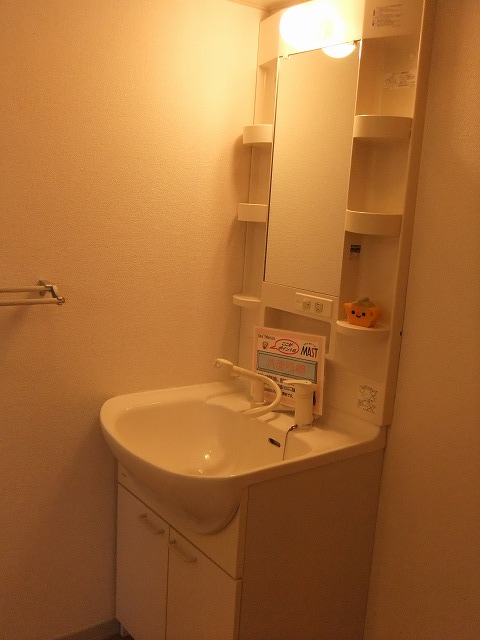 Washroom. Shampoo is vanity! !