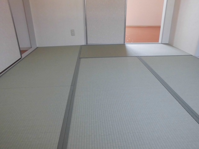 Living and room. North Japanese-style room