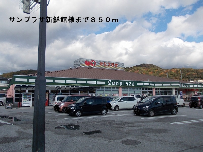 Supermarket. Sun Plaza fresh Museum to (super) 850m