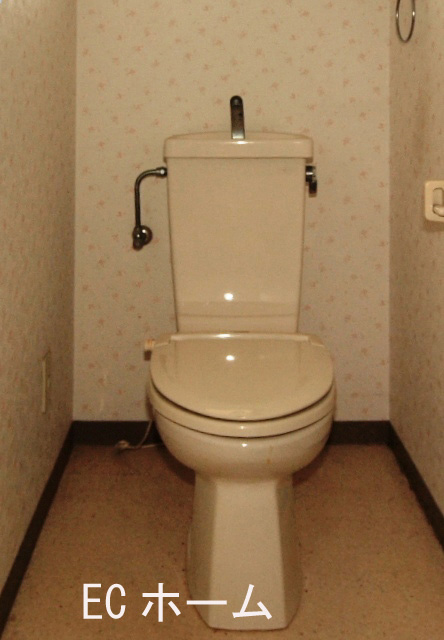 Toilet. With heating toilet seat