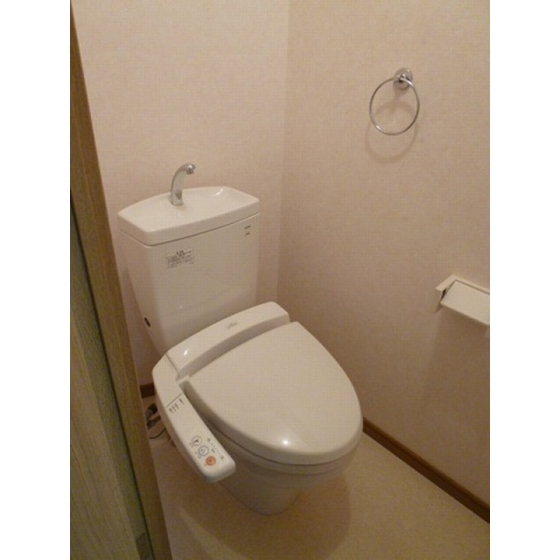Toilet. With warm water washing toilet seat