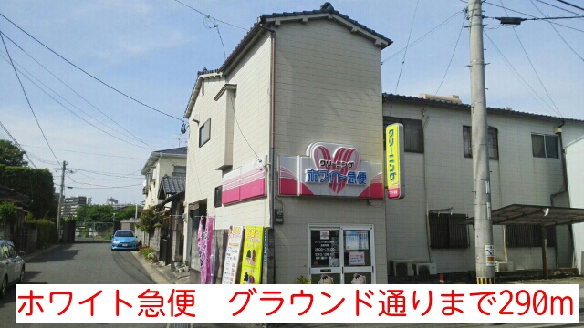 Other. White courier 290m to ground Street (Other)