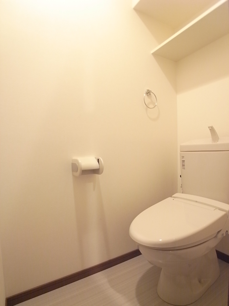 Toilet. Cleaning function with toilet seat