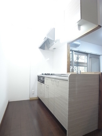 Kitchen. 3-neck of the system kitchen face-to-face kitchen