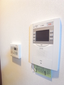 Other Equipment. You can see the visitor on a TV monitor phone