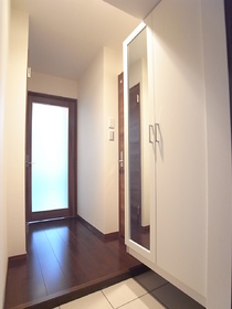 Entrance. Grooming check in the mirror with a shoebox