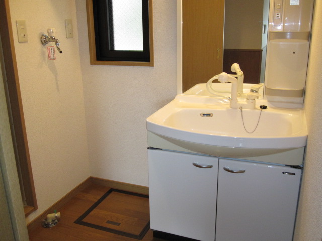 Washroom. Washbasin with shower