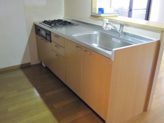 Kitchen. Gas stove, System kitchen with grill