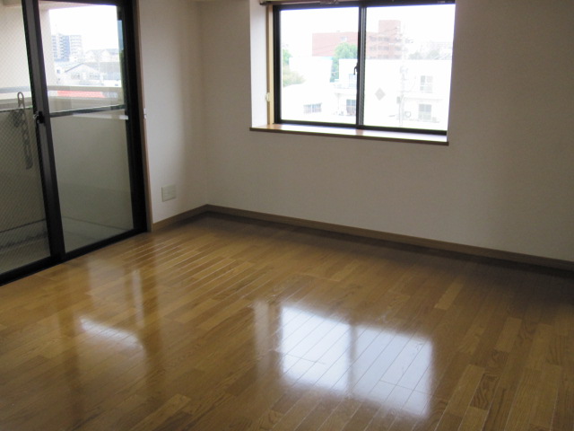 Living and room. Flooring shiny