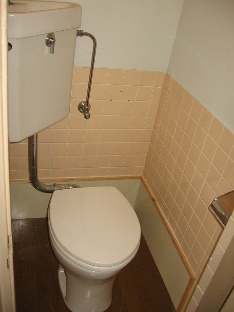 Toilet. Is pretty toilet wall of mosaic tile.