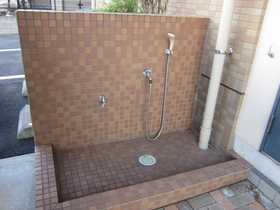 Other common areas. Pet of the foot washing place