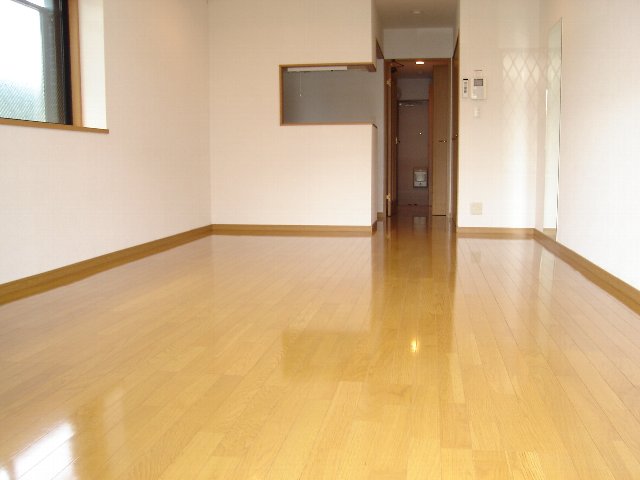 Living and room. Living