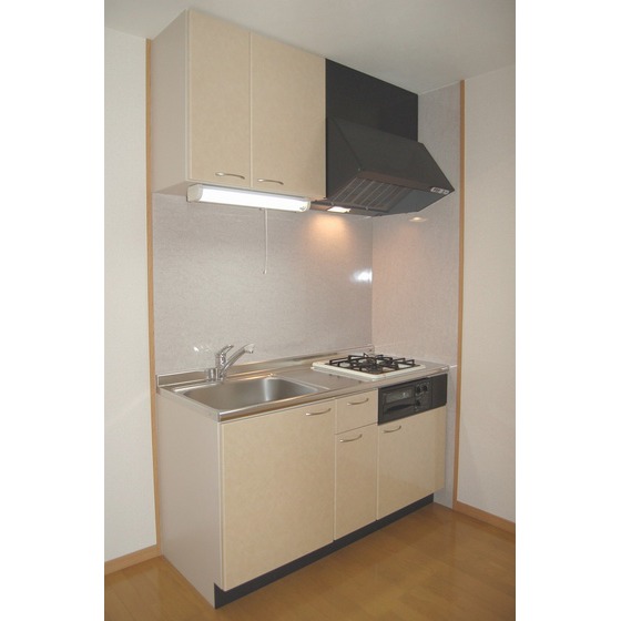 Kitchen. Two-burner stove with