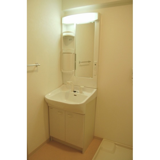 Washroom. Shampoo dresser