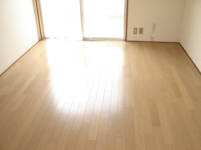 Living and room. Living