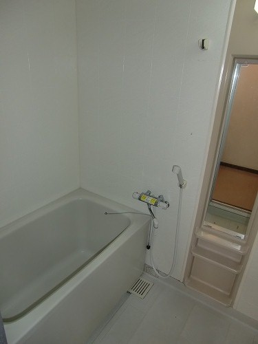 Bath. It comes with Oki Do not mirror