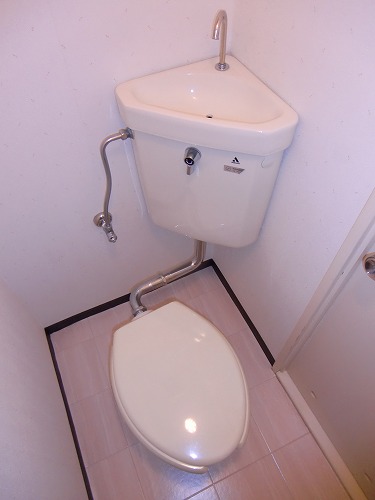 Other. It is a beautiful toilet ☆