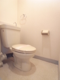 Toilet. Also have a towel