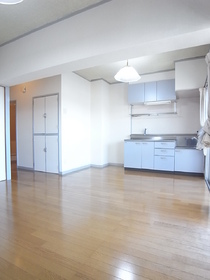 Kitchen. Bright living