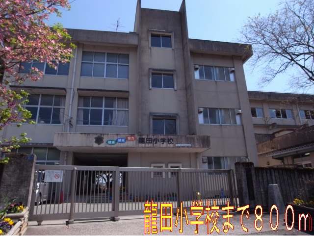Primary school. Tatsuta 800m up to elementary school (elementary school)