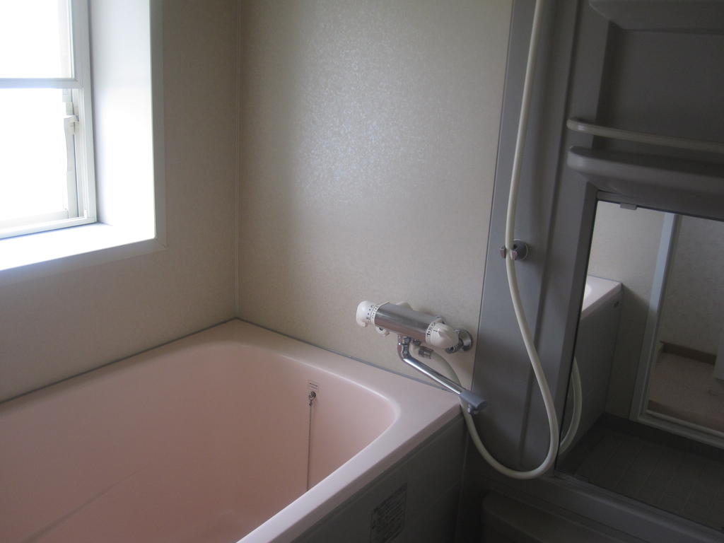 Bath. Bright bathroom