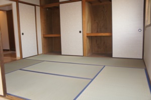 Other room space. Japanese style room