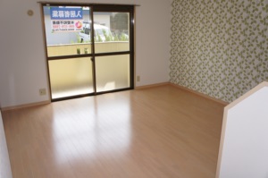 Living and room. Living