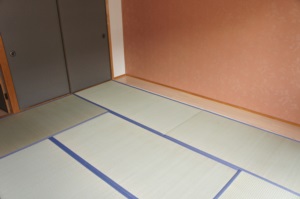 Other room space. Japanese style room
