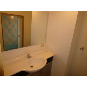 Washroom. It comes with a big mirror