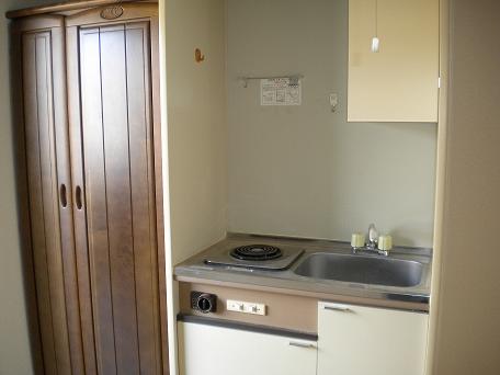 Kitchen. It will replace the IH heater!