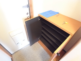 Entrance. There cupboard.