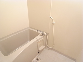 Bath. Bathing and toilet another