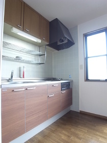 Kitchen. System kitchen new