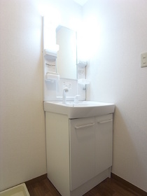 Washroom. Shampoo dresser new